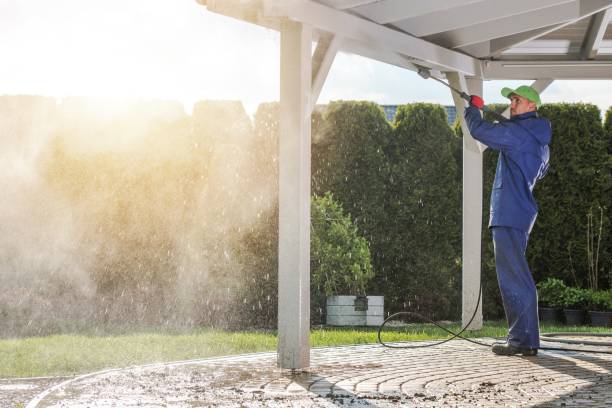 Best Sidewalk and Walkway Cleaning  in Unionville, TN
